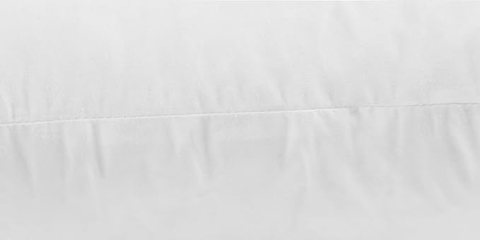 SNUG&COZY Luxury Goose Down Feather Pillow Inserts - 26x26IN, Double Layered Down-Proof Design, Ultra-Soft Cover, High Fill Weight, Pack of 2, White