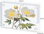 3 Pack Acrylic Picture Frames 8x10, 20%thicker Free Standing Desktop Display,Strong Magnetic Photo Frame, Double Sided Clear Picture Frames , Frameless Standing Desktop Frame for Home, Office, Gift Ready