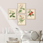 SIGNWIN Framed Vintage Colorful Wildflower Wall Art, Set of 4 Variety Floral Wall Decor Prints, Nature Wilderness Wall D¨¦cor for Living Room, Bedroom - 12"x16" Natural