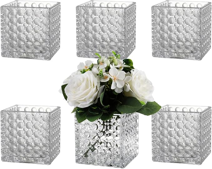 Square Vases Set of 6, 5" x 5" x 5" Square Glass Vases for Flowers, Clear Flower Vase for Centerpieces, Small Bubble Vase for Wedding, Party, Home, Office, Parties, Events