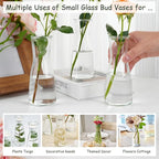 Small Clear Glass Bud Vases 20Pcs Mini Vases for Flowers Tulip Eucalyptus Plants, Glass Flower Vases for Centerpieces Dining Table, Clear Bud Vases Bulk for Wedding Party Bridal Shower Home Decor