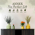 Scented Luxury Candles Outdoor Mosquito Bug Repellent Ceramic Jars, Soy Wax | The Green Life, Large Natural Candle - Green Melon & Peppermint | Non Toxic, 2 Wicks, Reusable Jar