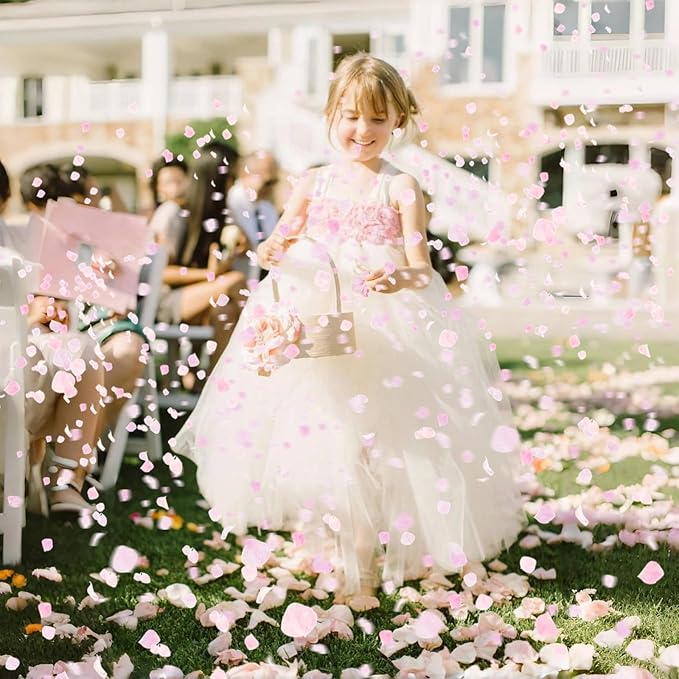 1500Pcs Real Pink Hydrangea Flower Petals for - 1.06 oz Natural Dried Pink Petals for Romantic Night, Her Set, Proposal Decor