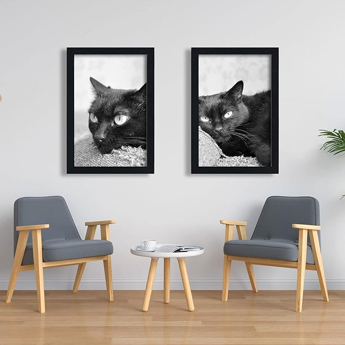 VCK Poster Frames 20x30 Black 3-Pack, Solid Wood Picture Frames for Wall Mounting Hanging Art and Puzzle Frame