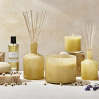 LAFCO New York Reed Diffuser Refill, Chamomile Lavender - 8.4 oz - Up to 4-Month Fragrance Life - Includes Natural Wood Reeds - Free of Dyes & Propellants - Made in The USA