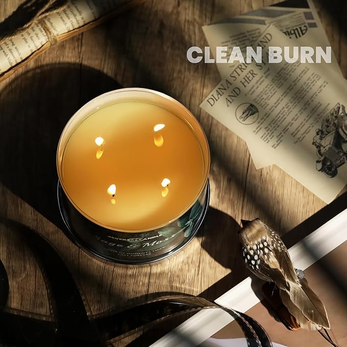 4-Wick Scented Candle - 18oz Soy Wax Blend Candle Over 50Hrs Long-Lasting Fragrance, Home Decor and Housewarming Gifts, Sage & Moss