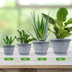 10 Inch Flower Pots Planters for Indoor Outdoor Plants, 3 Pack Plastic Large Plant Pots with Drainage Hole & Tray, Modern Decorative Garden Pot with Saucer, Plant Container for House