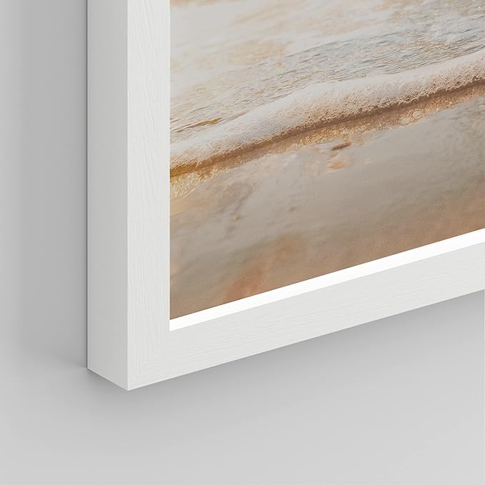 SIGNWIN Framed White Minimal Beach Shore Ocean Sea Seashell Wall Art, Set of 4 Landscape Colorful Wall Decor Prints, Nature Wilderness Wall Décor for Living Room, Bedroom - 11"x14" White