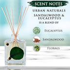 Urban Naturals Sandalwood & Eucalyptus Reed Diffuser Set – Made with Essential Oils & Real Botanicals – Sleek Rectangular Refillable Glass Bottle – Made in The USA