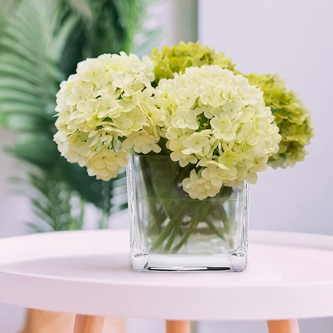 Set of 6 Square Glass Vases 4 x 4 Inch, Clear Cube Flower Vases with Sponge Brush, Candle Holders, Decorative Centerpieces for Home, Events or Weddings