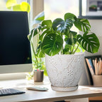 8 Inch Ceramic Pots for Plants Large Planter Pot with Drainage Hole and Saucer Round Flower Pot for Indoor Outdoor Decor, White