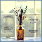 Reed Diffusers - Oil Sticks Diffuser Set with Real Dried Flowers - Reed Diffusers for Home, Bathroom & Office | Air Freshener Fragrance Sticks for Shelf Decor & Gifts by Le Petit Jardin & Co.