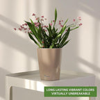 Dexceder 6x7 Self Watering Planter Indoor Outdoor, High Gloss Table Flower Plant Pot with Water Level Indicator (Taupe)