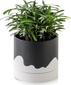 Nihow Ceramic Plant Pot: 6 Inch Planter with Drainage Hole & Saucer for Indoor & Outdoor Plants - Cylinder Round Flower Pot for Succulent/Herbs/Violets - Black & Wave White