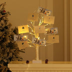 Money Tree Gift Holder, Pre-lit Birch Tree, Battery/USB Powered Light Up Display Twig Gift Card Treelight with 22 Clips and 6 Cards for Home Christmas Graduation Photo Memo