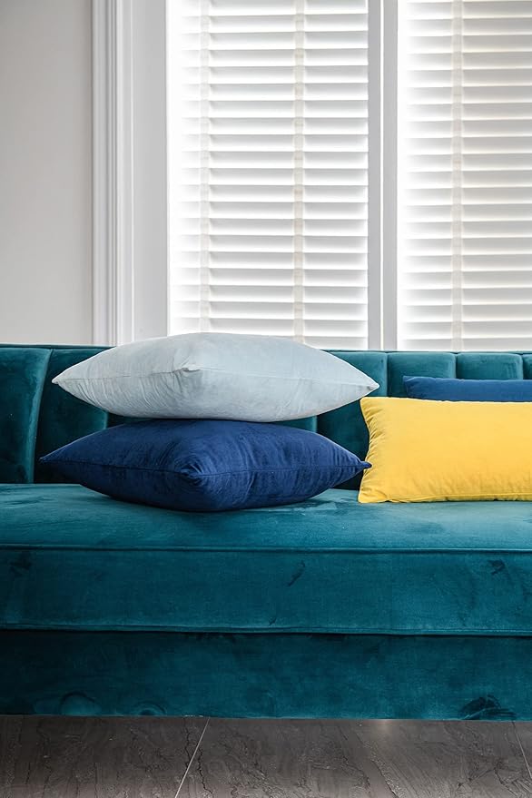 Throw Pillow Cases 22x22 Light-Blue: 2 Pack Cozy Soft Velvet Square Decorative Pillow Covers for Farmhouse Home Decor