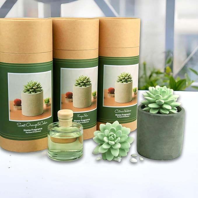 Reed Diffuser Set, Pretty Valley Home Succulent Gypsum Ceramic Fragrance Diffuser Vase Set - Frozen Pear 3.38 fl oz (100 ml), Home Fragrance Reed Diffuser for Bathroom Office Living Room Decor