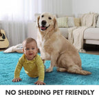 5x7 Ft Teal Shag Rugs for Bedroom Living Room Decor for Men Boys, Ultra Soft Fluffy Furry Area Rug for Indoor Floor, Aesthetic Carpet for Nursery Dorm Home Decor