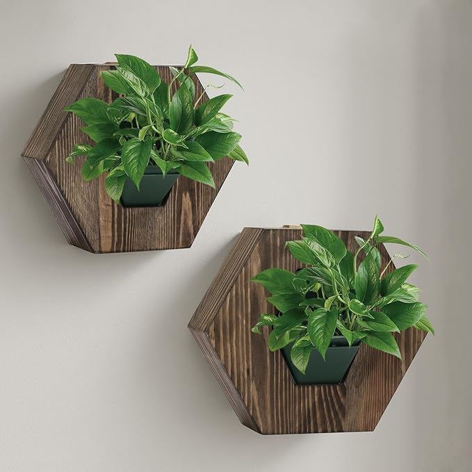 Hexagonal Wooden Wall Planter, Self Watering Living Vertical Planter Indoor, Wooden Frame Planter Wall Decoration Home Office,2pc Walnut