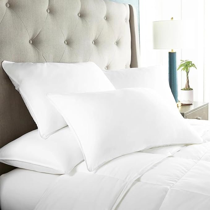 SILUI Extra Flat Thin Soft Pillows Queen Size Set of 2 Pack Bed Pillow Down Alternative Fill for Side Back Stomach Sleepers, White, 20x30 Inches