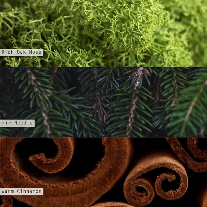 ILLUME Vanity Tin Candle, Balsam & Cedar (Pack of 6)