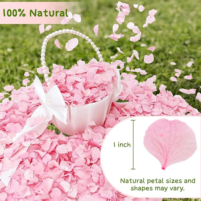 1500Pcs Real Pink Hydrangea Flower Petals for - 1.06 oz Natural Dried Pink Petals for Romantic Night, Her Set, Proposal Decor
