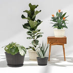 Quarut 10 inch Plastic Flower Pots for Outdoor Plants，4 Pack Large Outdoor Planter Pot with Drainage Holes & Saucers，Imitation Wine Barrel Design，for Indoor Outdoor Garden Plants（Brown）