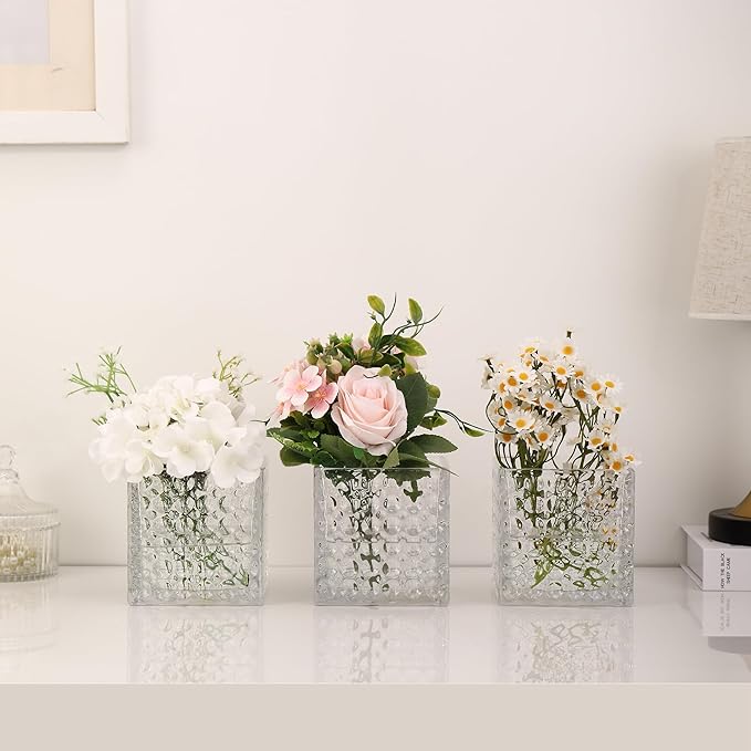 Square Vases Set of 6, 5" x 5" x 5" Square Glass Vases for Flowers, Clear Flower Vase for Centerpieces, Small Bubble Vase for Wedding, Party, Home, Office, Parties, Events