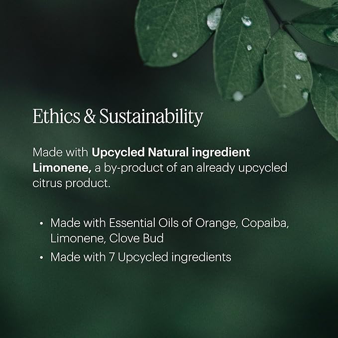 AERA Rose - Essential Oil for Home - Fresh and Sensuous Fragrance - Notes of Himalayan Rose, Linden and Peony - Scent Refill - Works with The Diffuser