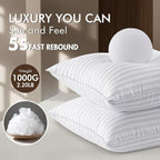 MIULEE 24x24 Pillow Inserts, Firm and Fluffy Decorative Square Throw Pillows for Couch Sofa Bed, Down Alternative with 100% Cotton Cover Pack of 2