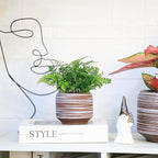 Mini Succulent Planter Set – 3.7 Inch Ceramic Pots with Drainage for Indoor Plants, Small Decorative Flower Pots for Cactus and House Plants, Set of 4