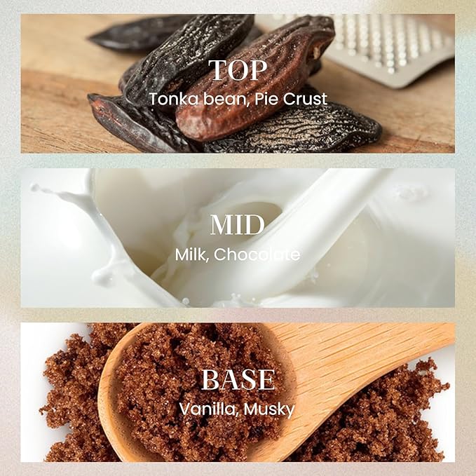 M&SENSE 6.3 oz Large Reed Diffuser Set | Creamy Vanilla Scent Oil Diffuser with Sticks | Hotel Collection Non-Toxic Essential Oil |for Bedroom Bathroom Living Room