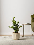 LE TAUCI Fluted Ceramic Planters Set of 3 – 8.3/7 / 5.7 in Cloud Cream Reactive Cylinder Indoor Plant Pots with Drainage Plug & Mesh, Glossy Stoneware Flower Pots for Succulents Herbs