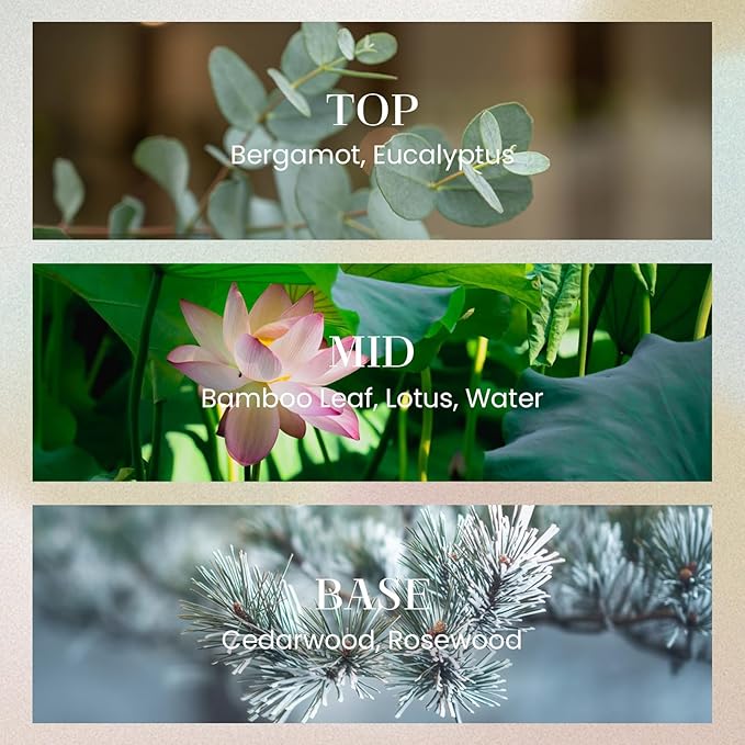 M&SENSE 8.4 oz Large Reed Diffuser for Home | Forest Scent Oil Diffuser with Sticks | Bedroom Bathroom Living Room Decor