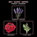 LOVSPA French Lavender Diffuser Oil - Luxury Essential Oils for Diffuser Refill & Air Freshener Room Spray - Long-Lasting & Natural Home Fragrance, Scented Oil for Diffusers, USA Made, 4oz