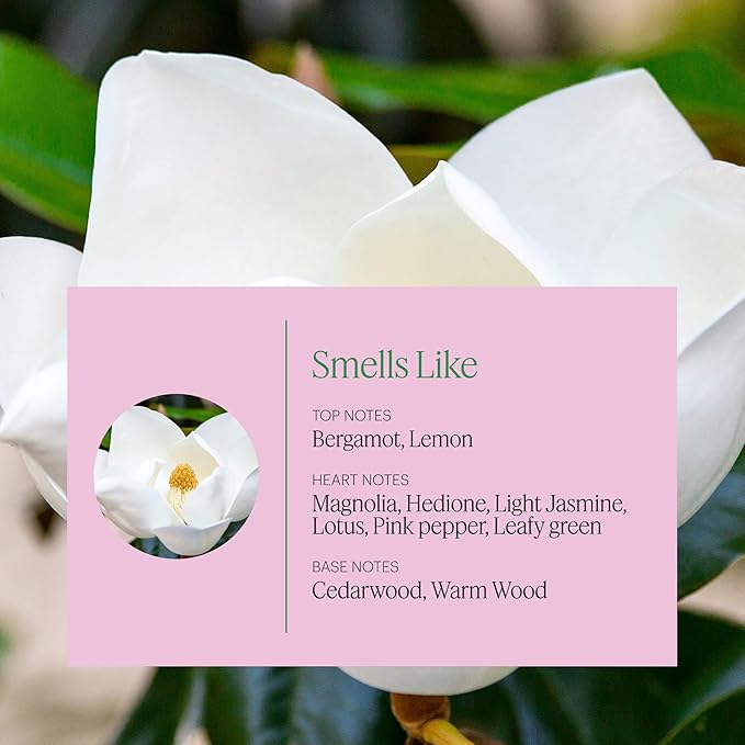 Aera Curiosity - Essential Oil for Home - Pear and Redberries Fragrance - Notes of Magnolia, Lotus Flower and Citrus - Scent Refill - Works with The Aera Diffuser