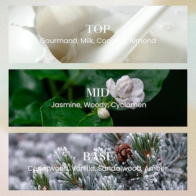 M&SENSE 6.3 oz Large Reed Diffuser Set | Cashmere Cloud Scent Oil Diffuser with Sticks | Hotel Collection Non-Toxic Essential Oil |for Bedroom Bathroom Living Room