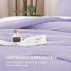 Litanika Lavender Purple Comforters Queen Size, 3 Pieces Lightweight Solid Bedding Comforter Set, All Season Fluffy Bed Set (90x90In Comforter & 2 Pillowcases)