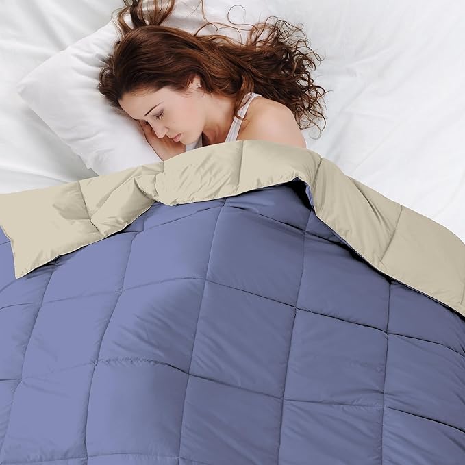 Modern Threads Down Alternative Reversible Comforter Blue/Cream King