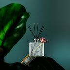 Nest New York Reed Diffuser, Forest Rain - 5.9 fl oz - Fragrance for Up to 90 Days - Reusable, Refillable Glass Holder - Includes 8 All-Natural Reed Sticks - Flame Free