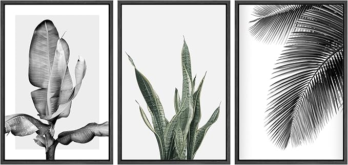 SIGNWIN Framed Canvas Print Wall Art Trio of Jungle Palms & Snake Succulents Floral Plants Photography Modern Art Minimalist Black and White for Living Room, Bedroom, Office - 16"x24"x3 Black