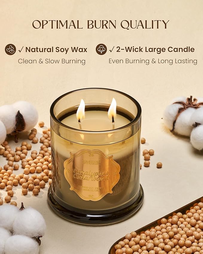 M&SENSE Eucalyptus Cedarwood Scented Candles, 2 Wick 12.7oz Large Jar Candle 75H Long Lasting, Plant-Based Non Toxic Natural Soy Wax, Aromatherapy Candles for Stress Relief,Gifts for Men Women Father