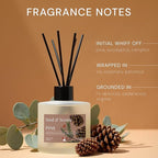Soul & Scents Reed Diffuser Set – Pine | 7.43 oz Refillable Scented Oil with 6 Fiber Sticks | Long-Lasting Home Fragrance & Air Freshener for Bedroom, Bathroom, Office | Gift & Décor Piece