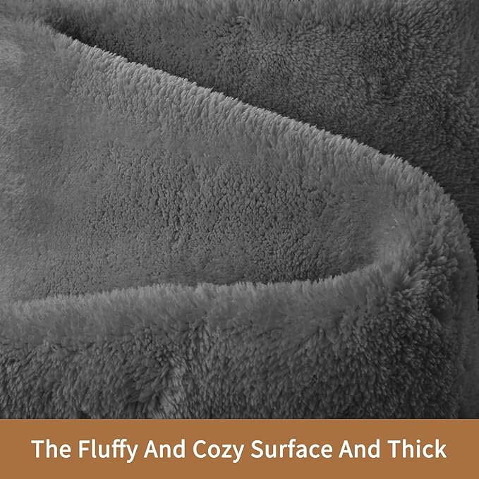 Sour Lemon 5x7 Area Rugs for Living Room, Soft Large Area Rug Fluffy Rugs for Bedroom，Machine Washable Area Rug Non Slip Carpet Rug for Living Room Playroom Kids Room Home Decor