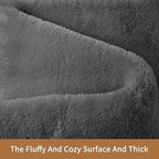 Sour Lemon 5x7 Area Rugs for Living Room, Soft Large Area Rug Fluffy Rugs for Bedroom，Machine Washable Area Rug Non Slip Carpet Rug for Living Room Playroom Kids Room Home Decor