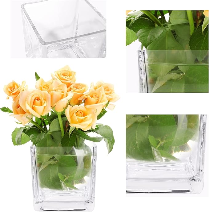 Set of 6 Square Glass Vases 4 x 4 Inch, Clear Cube Flower Vases with Sponge Brush, Candle Holders, Decorative Centerpieces for Home, Events or Weddings