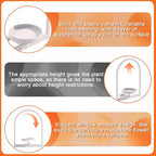 Wall Plant Holder, Wall Planter for Indoor Plants, Window Plant Shelves for Multiple Plants Indoor Outdoor, Framed Plant Holder for Home Decor (2 Pack)