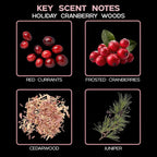 LOVSPA Reed Diffuser Set, Holiday Red Currant & Woods Scented Oil Diffuser with Sticks, Home Fragrance Accessories for Bathroom Shelf Decor, Aroma Diffusers for Home or Office Desk, USA Made