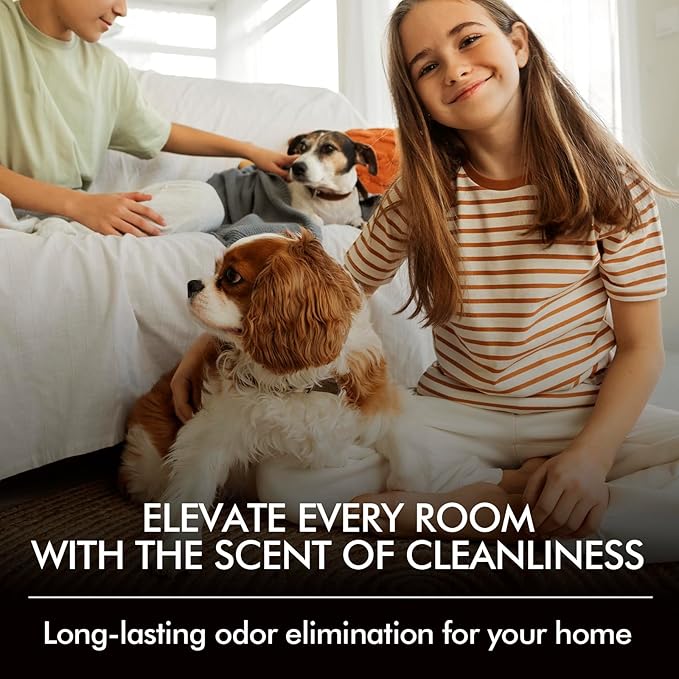 Fir & Forest Room Spray 2 Pack, 3.4oz/100ml Each – Long-Lasting Air Freshener & Odor Eliminator for Home, Linen, Bathroom, Bedroom & Office, Concentrated Room Spray