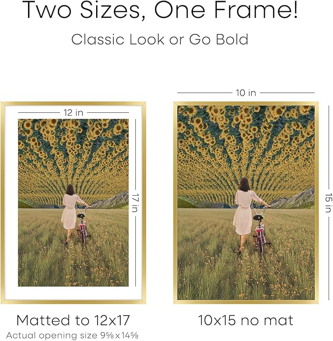 Homeforia 12x17 Picture Frame Gold, High End Metal 12x17 Poster Frames with Mat 10x15 Photo, 12 x 17 Gold Frame Matted to 10 by 15 Print, 17by12 Thin Hanging Frames, Tempered Glass, Wall Kit, Set of 1